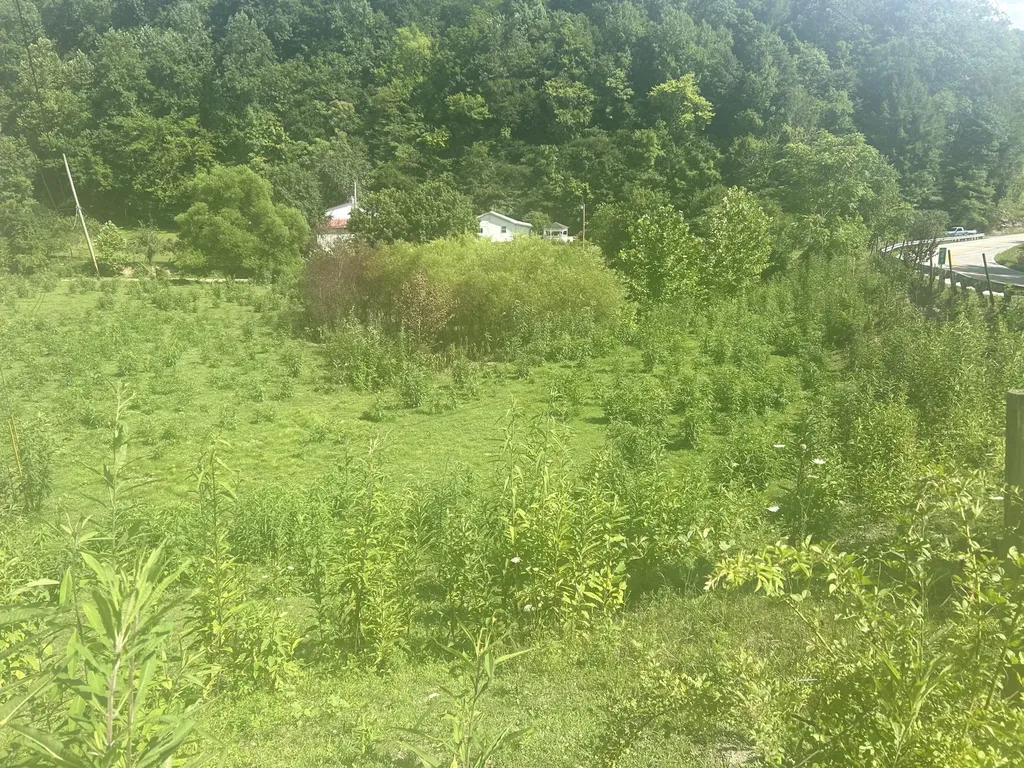 9999 North Highway 66 Oneida Key Oneida KY 40972