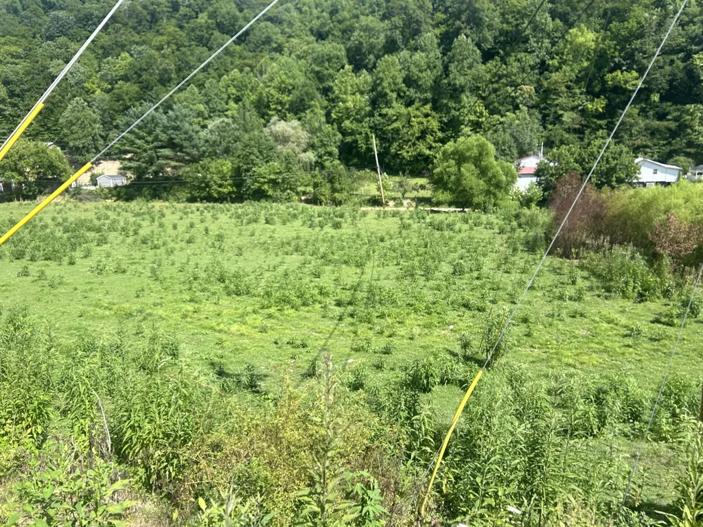 9999 North Highway 66 Oneida Key Oneida KY 40972