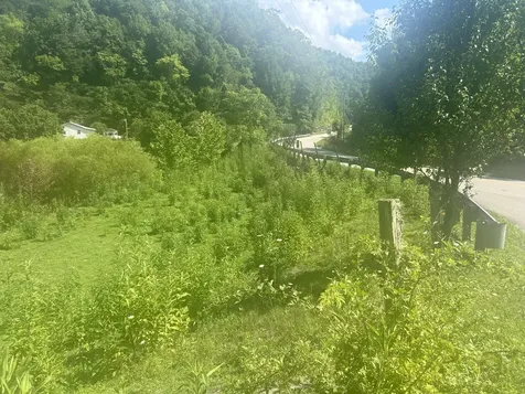 9999 North Highway 66 Oneida Key Oneida KY 40972