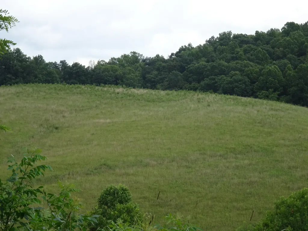521 Artville Road Wellington KY 40387