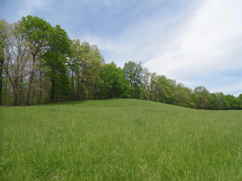 521 Artville Road Wellington KY 40387