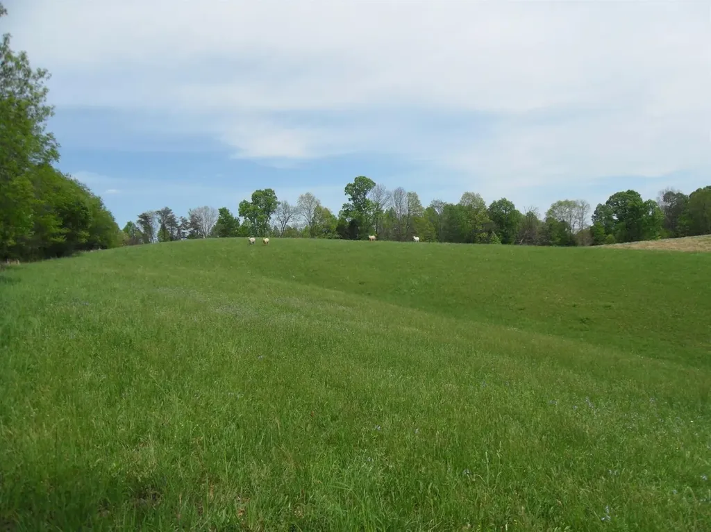 521 Artville Road Wellington KY 40387