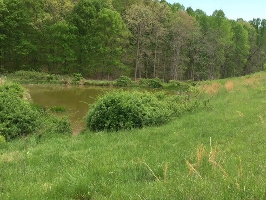 521 Artville Road Wellington KY 40387