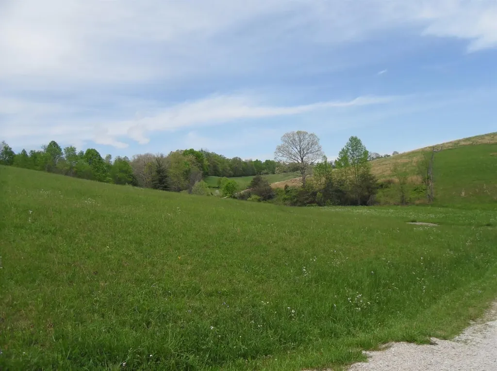 521 Artville Road Wellington KY 40387