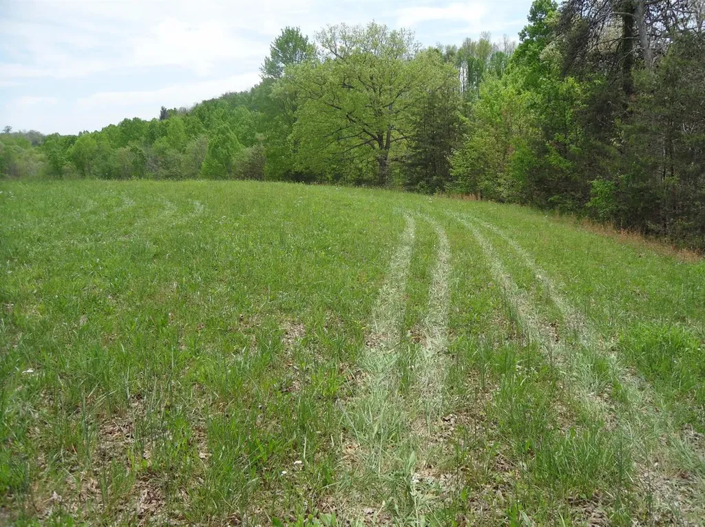 521 Artville Road Wellington KY 40387