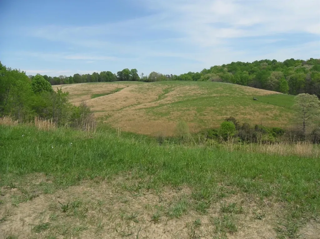 521 Artville Road Wellington KY 40387