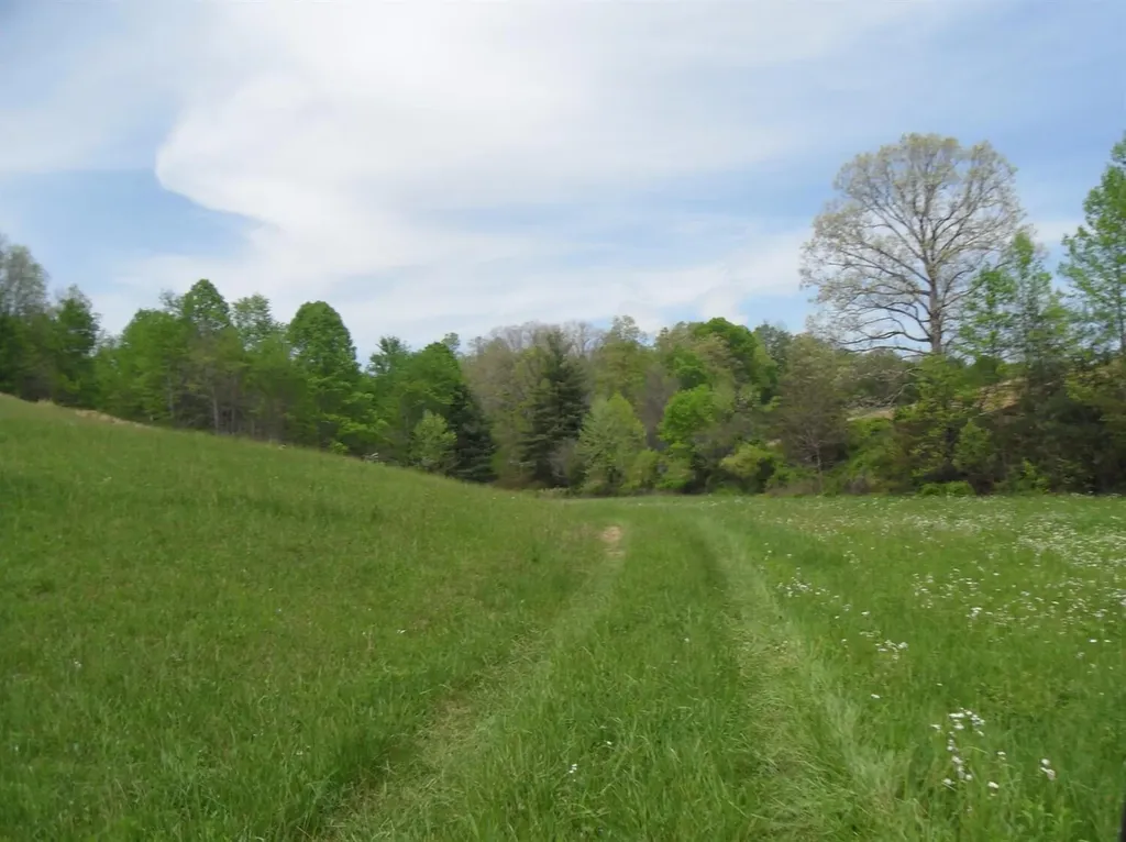 521 Artville Road Wellington KY 40387