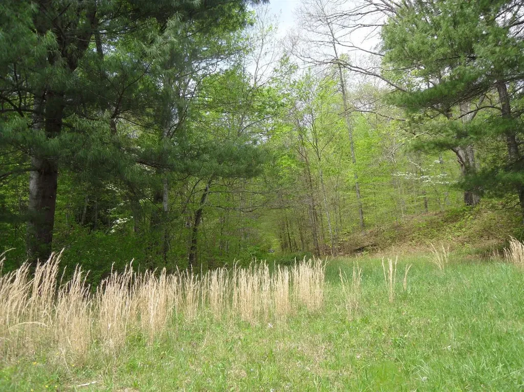 521 Artville Road Wellington KY 40387