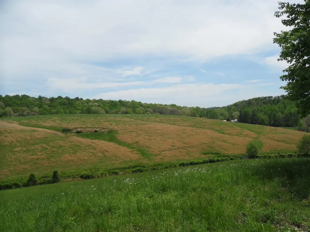 521 Artville Road Wellington KY 40387