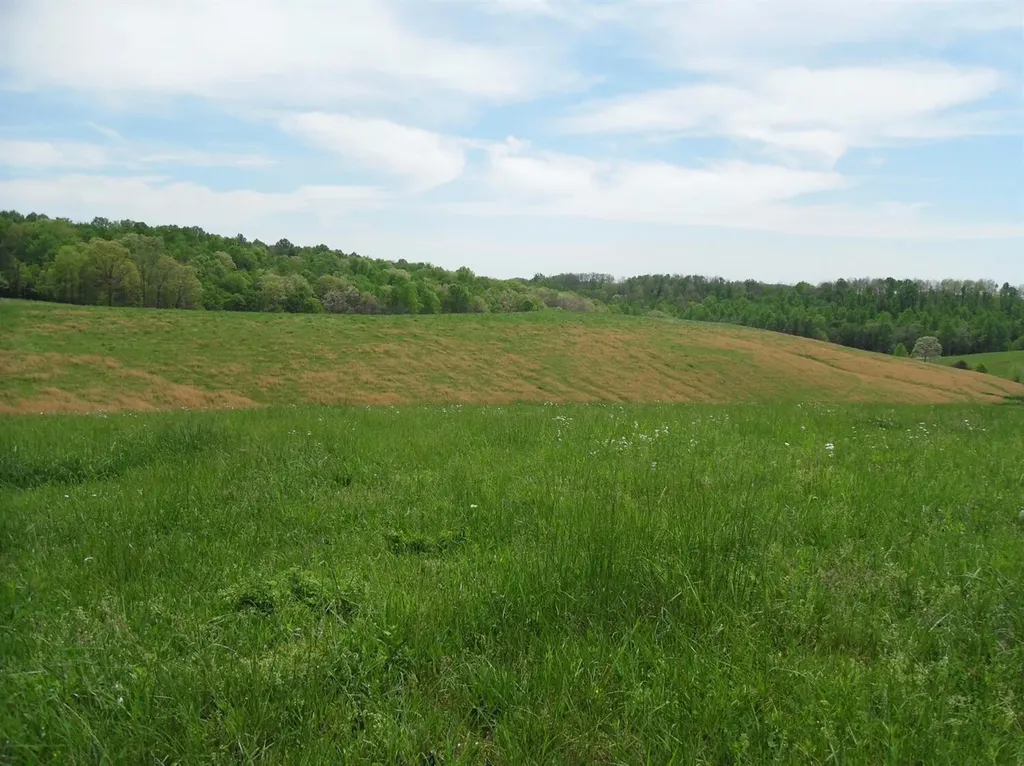 521 Artville Road Wellington KY 40387