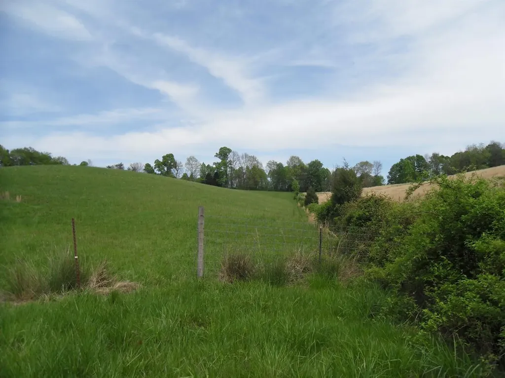 521 Artville Road Wellington KY 40387