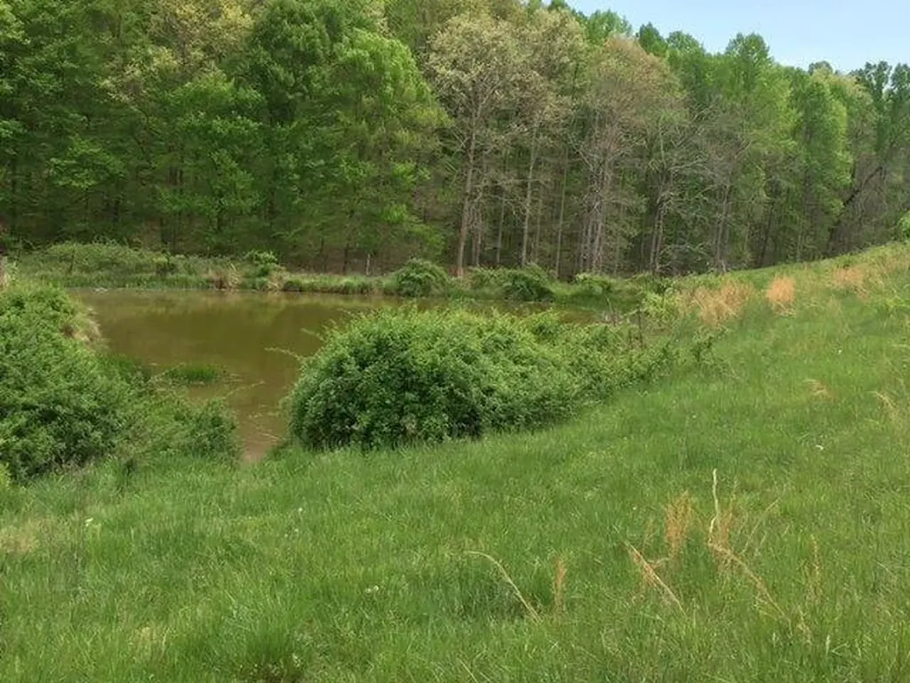 521 Artville Road Wellington KY 40387