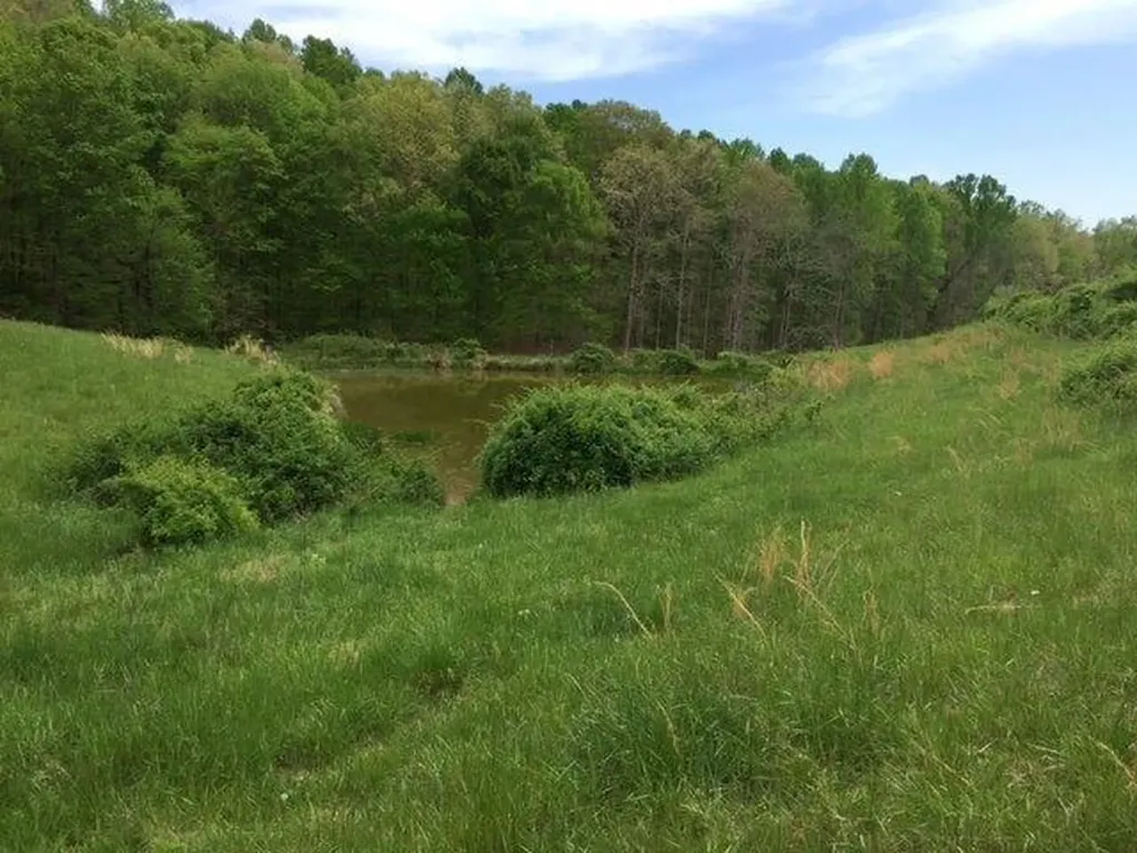 521 Artville Road Wellington KY 40387