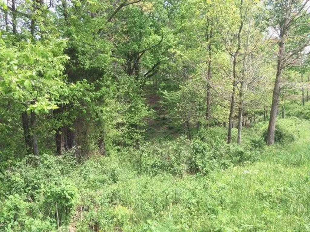 521 Artville Road Wellington KY 40387
