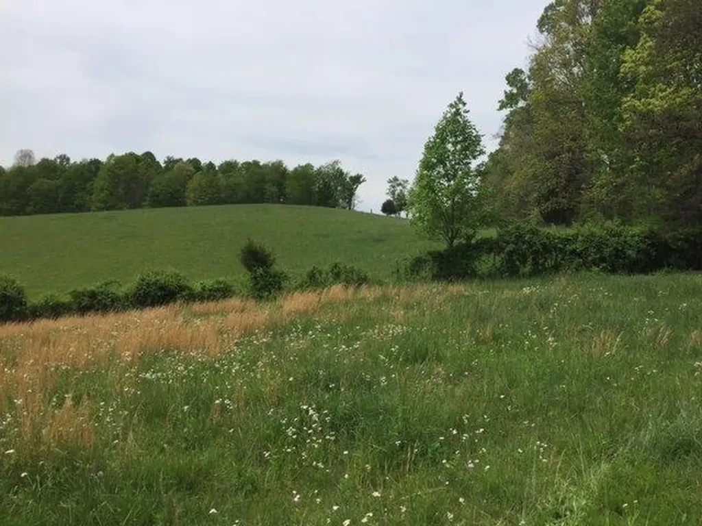 521 Artville Road Wellington KY 40387
