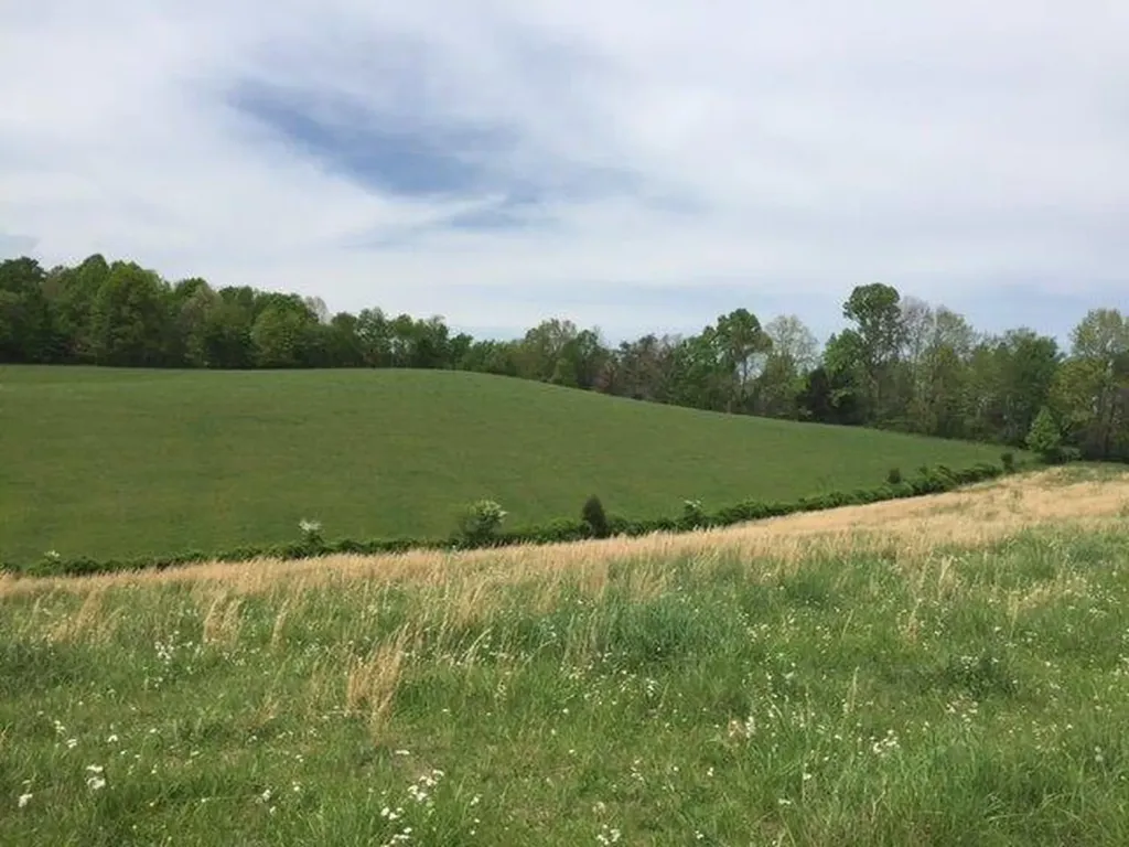 521 Artville Road Wellington KY 40387