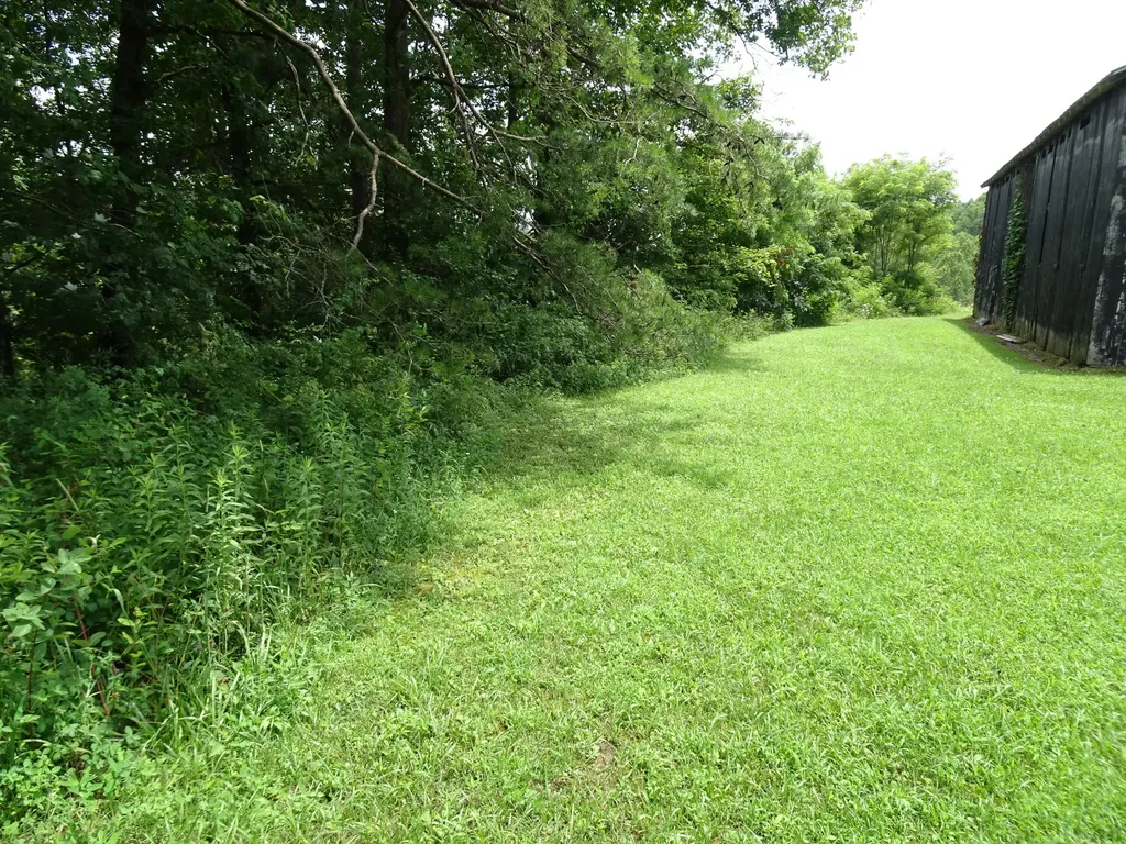 521 Artville Road Wellington KY 40387