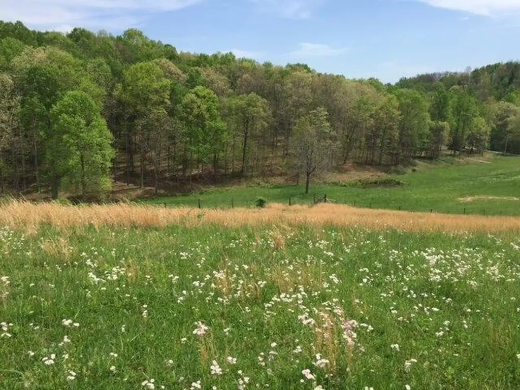 521 Artville Road Wellington KY 40387
