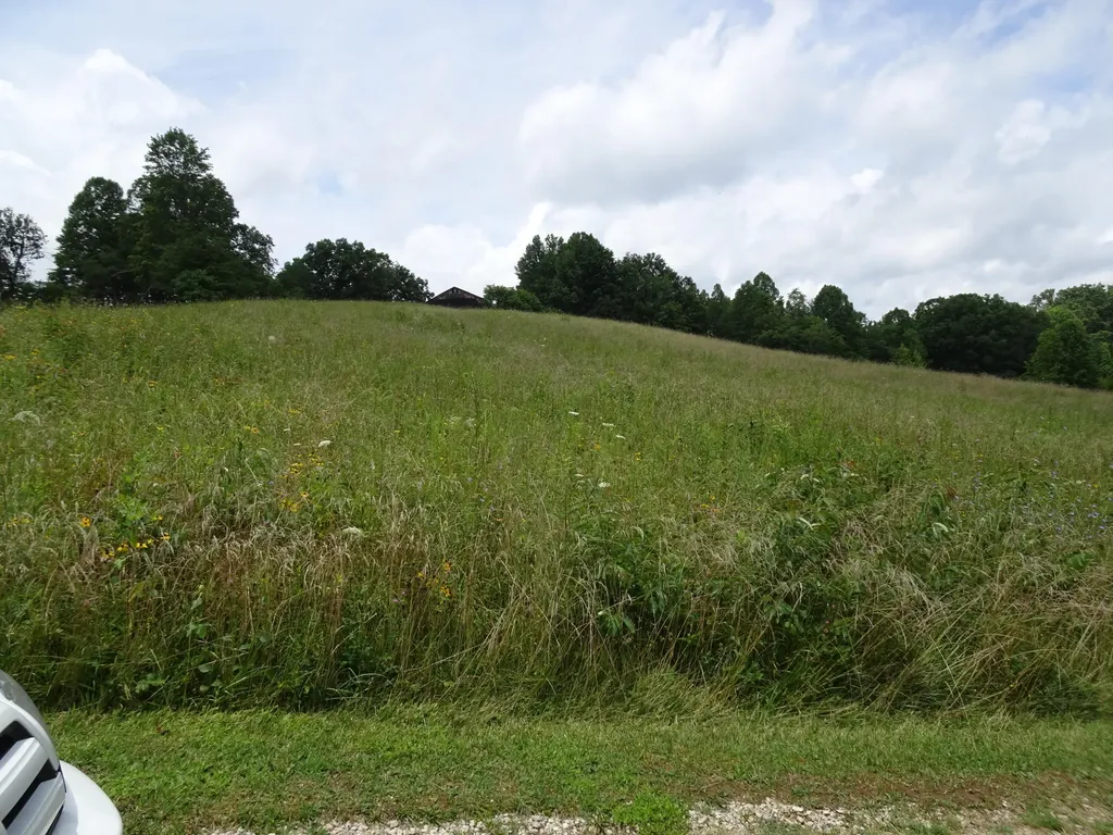521 Artville Road Wellington KY 40387