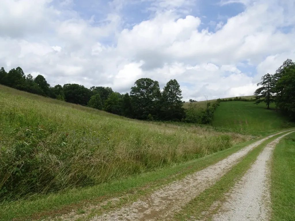 521 Artville Road Wellington KY 40387