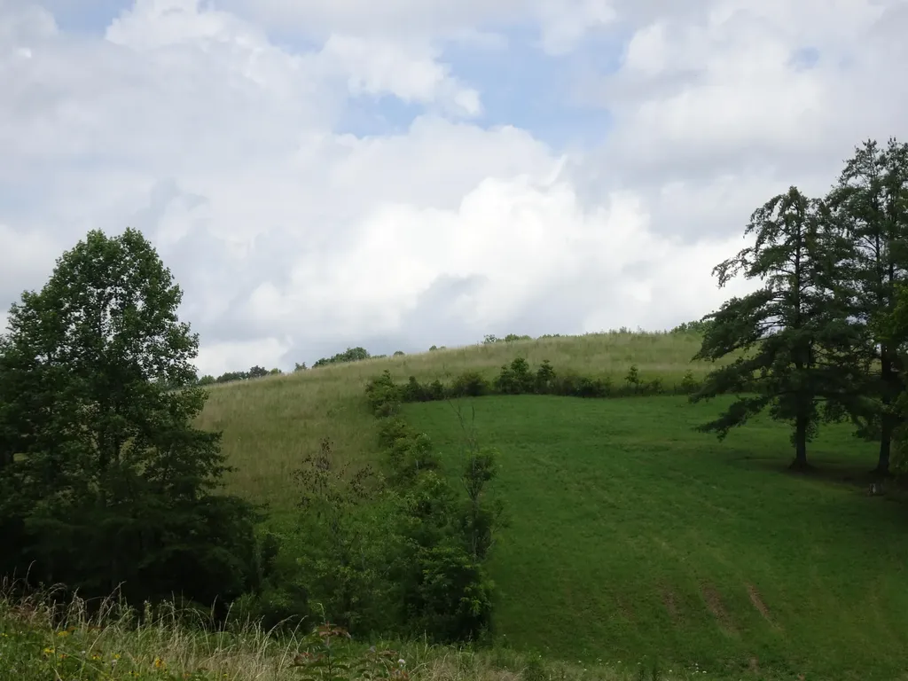 521 Artville Road Wellington KY 40387