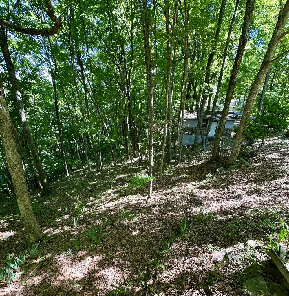 439 Eagles Bluff Road Monticello KY 42633
