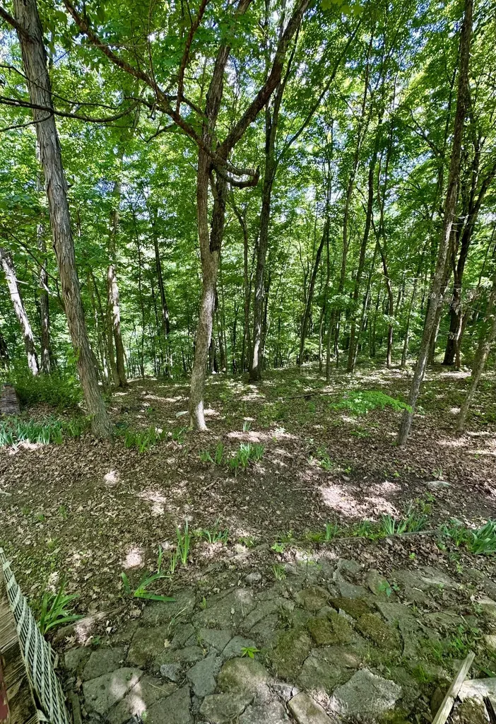 439 Eagles Bluff Road Monticello KY 42633