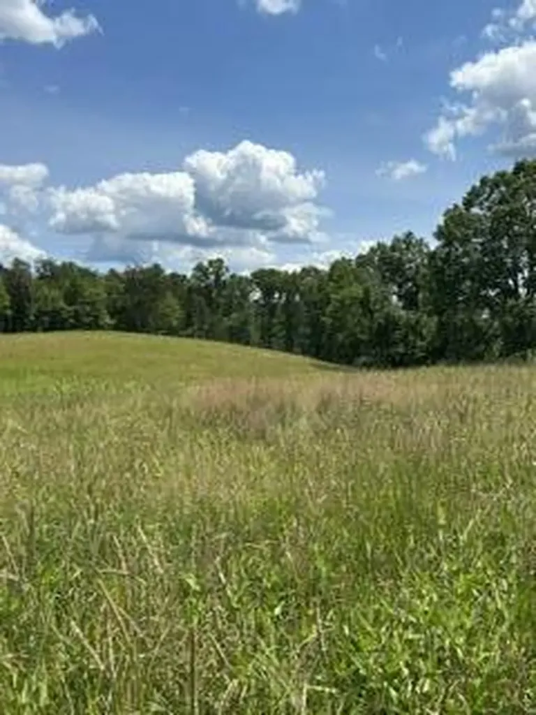 1645 Denton Phelps Road Somerset KY 42501
