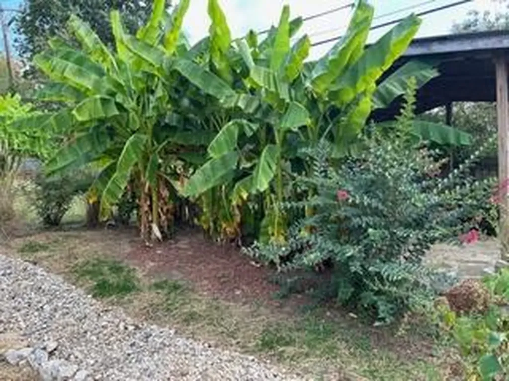 42 Mockingbird Valley Road Winchester KY 40391