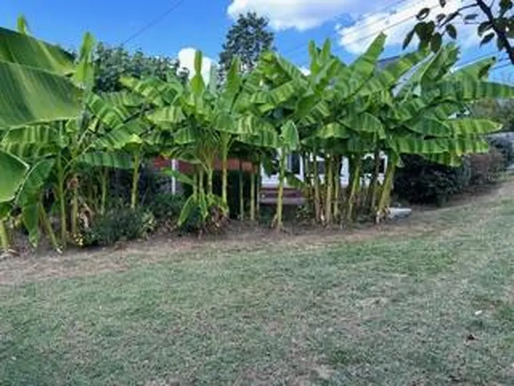 42 Mockingbird Valley Road Winchester KY 40391