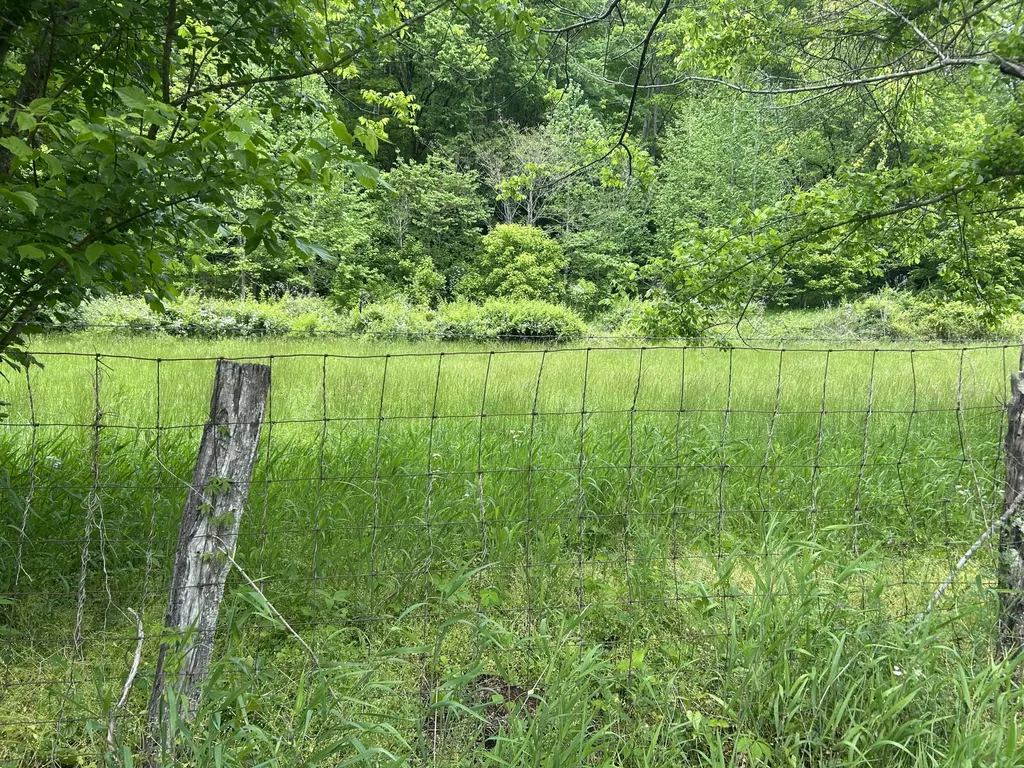 00 Jacks Creek Road Oneida KY 40972