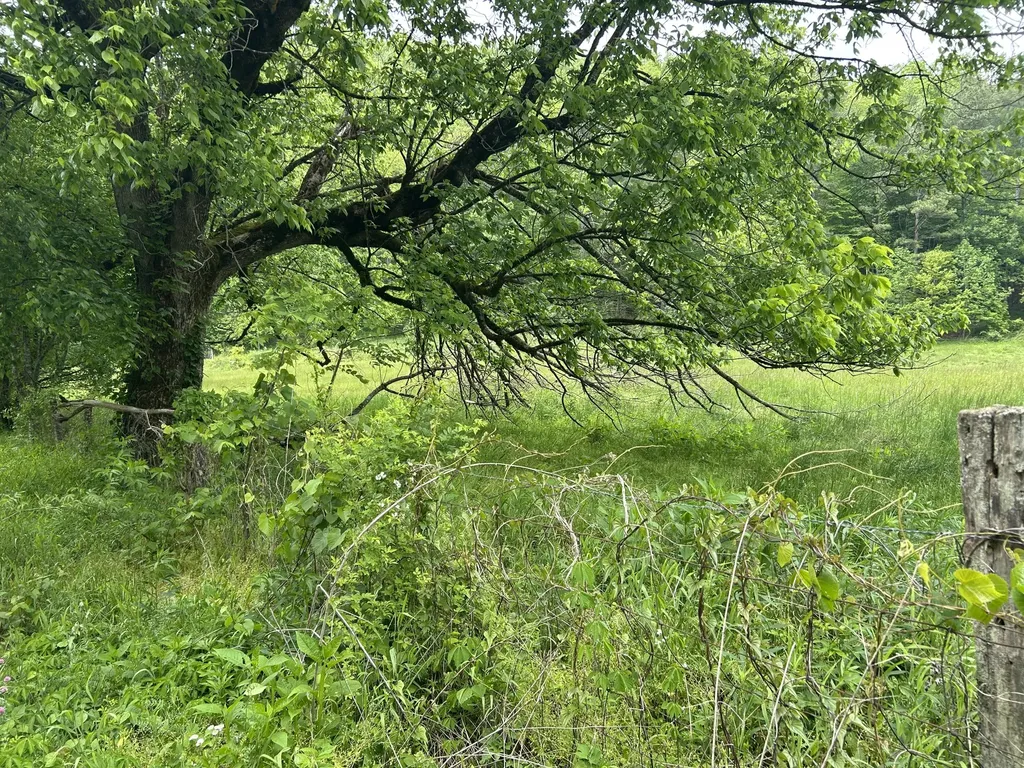 00 Jacks Creek Road Oneida KY 40972