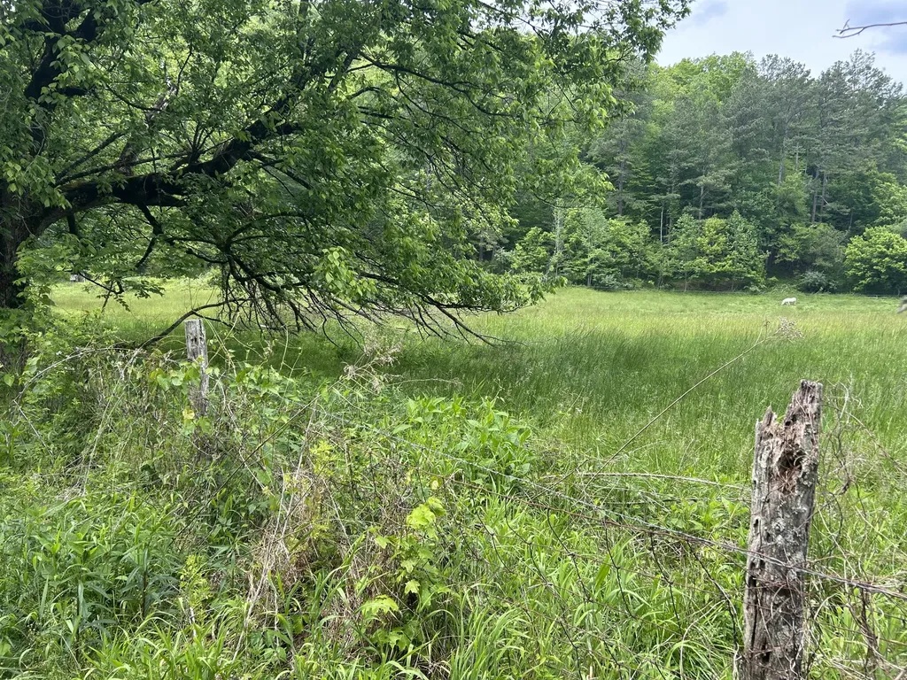 00 Jacks Creek Road Oneida KY 40972