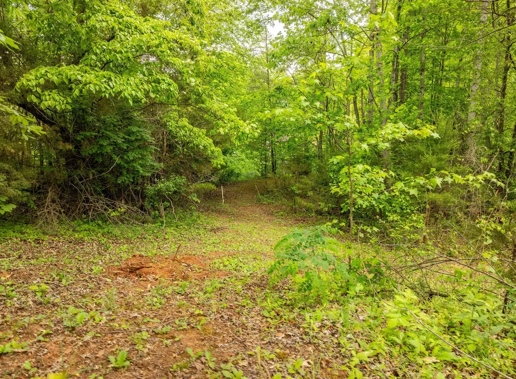 1070 Kentucky 2393 Monticello KY 42633