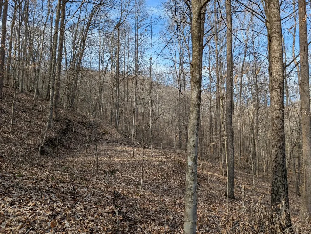 9999 Tip Top Road Beattyville KY 41311