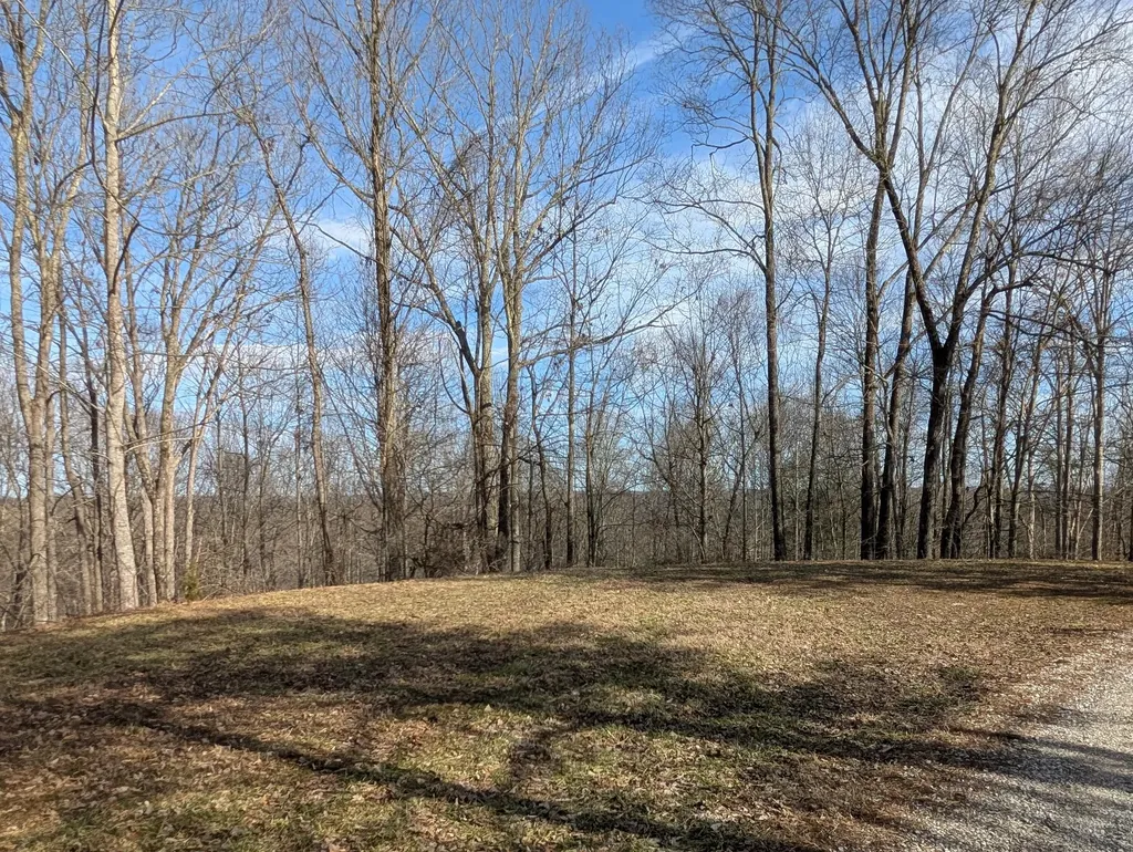 9999 Tip Top Road Beattyville KY 41311