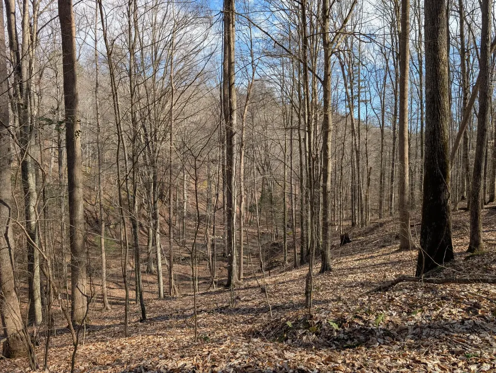 9999 Tip Top Road Beattyville KY 41311