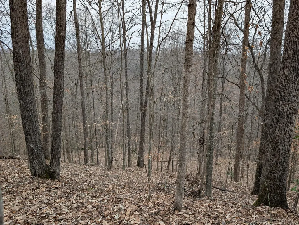 9999 Tip Top Road Beattyville KY 41311
