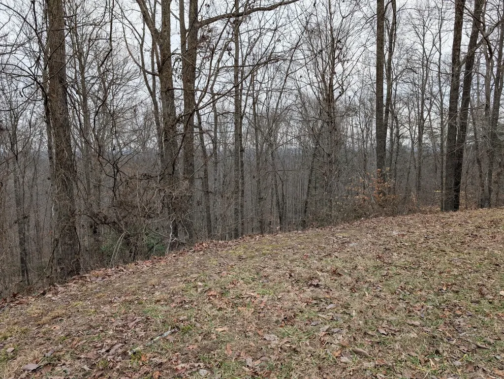 9999 Tip Top Road Beattyville KY 41311