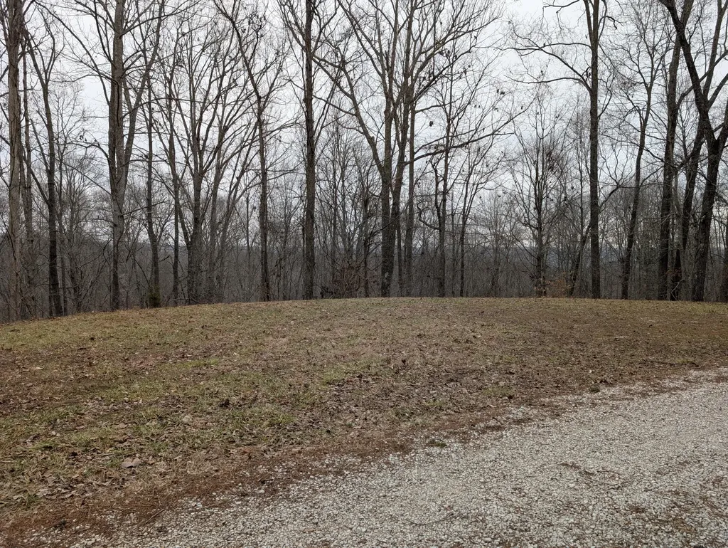 9999 Tip Top Road Beattyville KY 41311