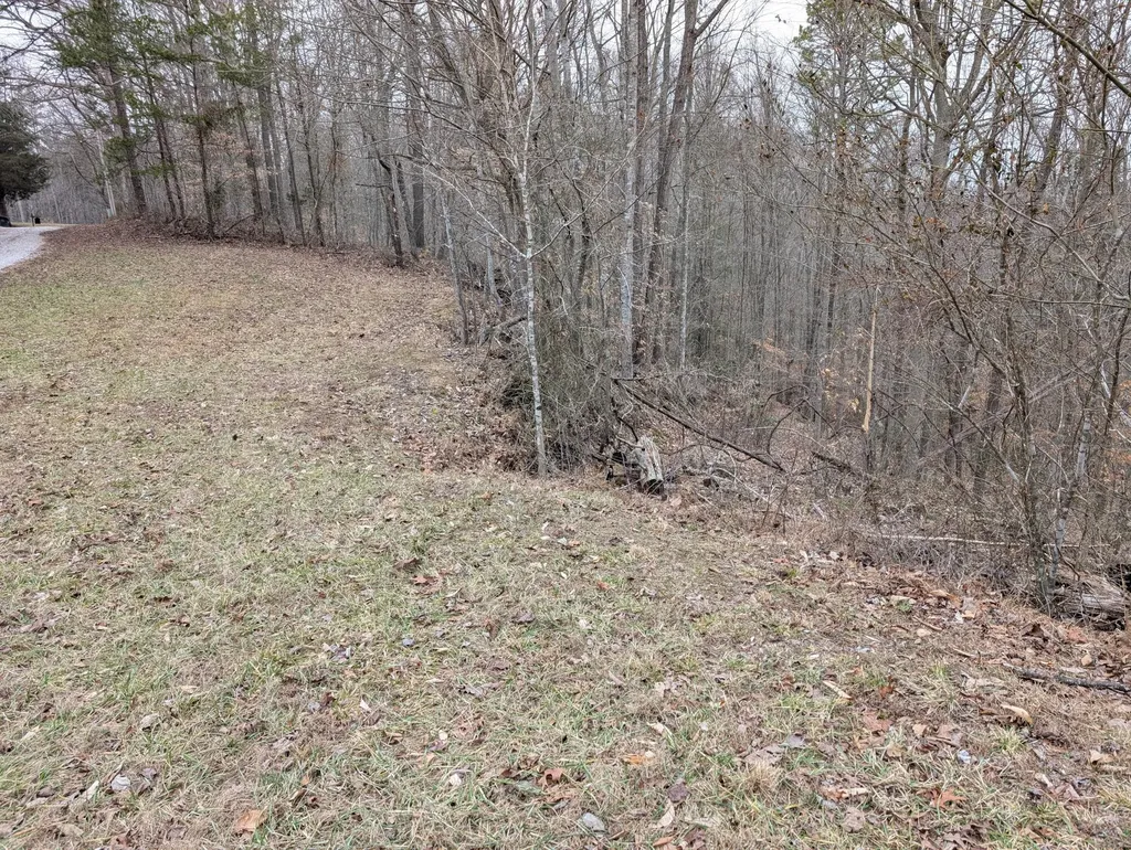 9999 Tip Top Road Beattyville KY 41311