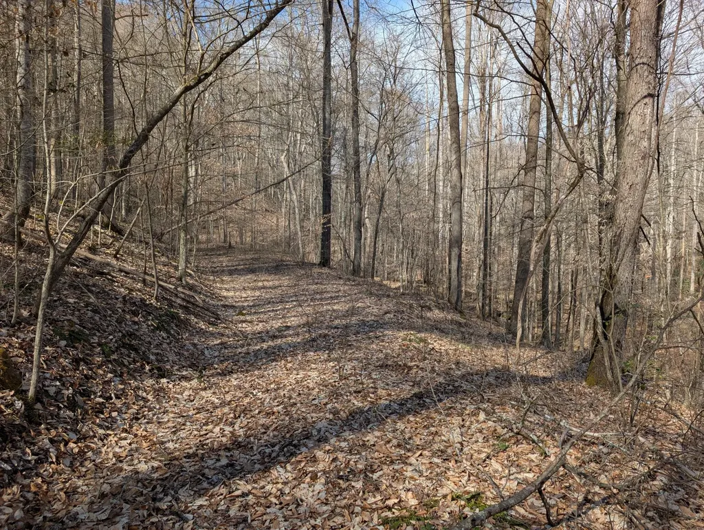 9999 Tip Top Road Beattyville KY 41311