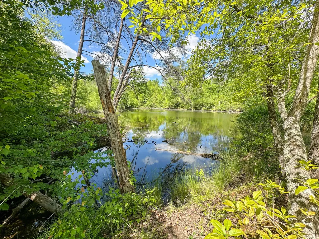 1921 State Highway 1804 Williamsburg KY 40769