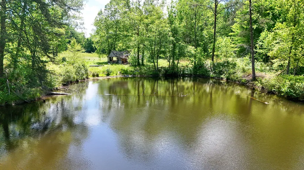 1921 State Highway 1804 Williamsburg KY 40769