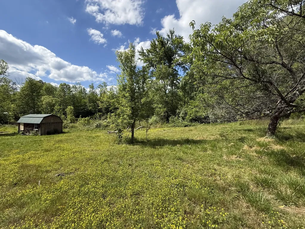 1921 State Highway 1804 Williamsburg KY 40769
