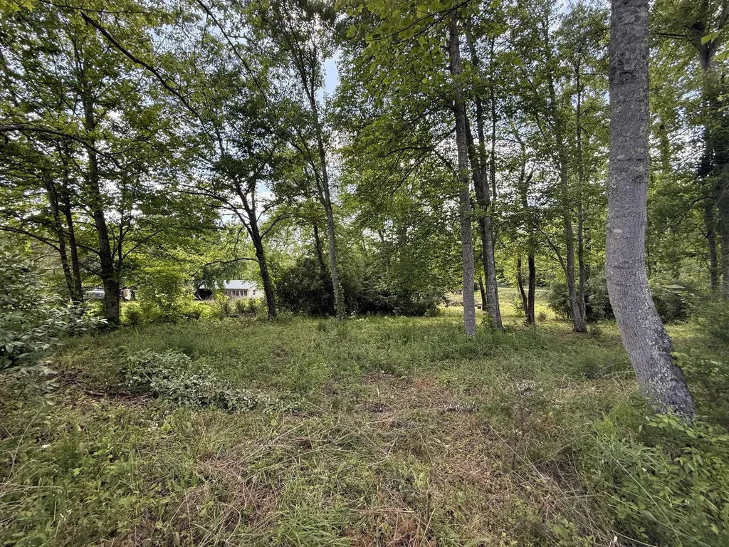 1921 State Highway 1804 Williamsburg KY 40769
