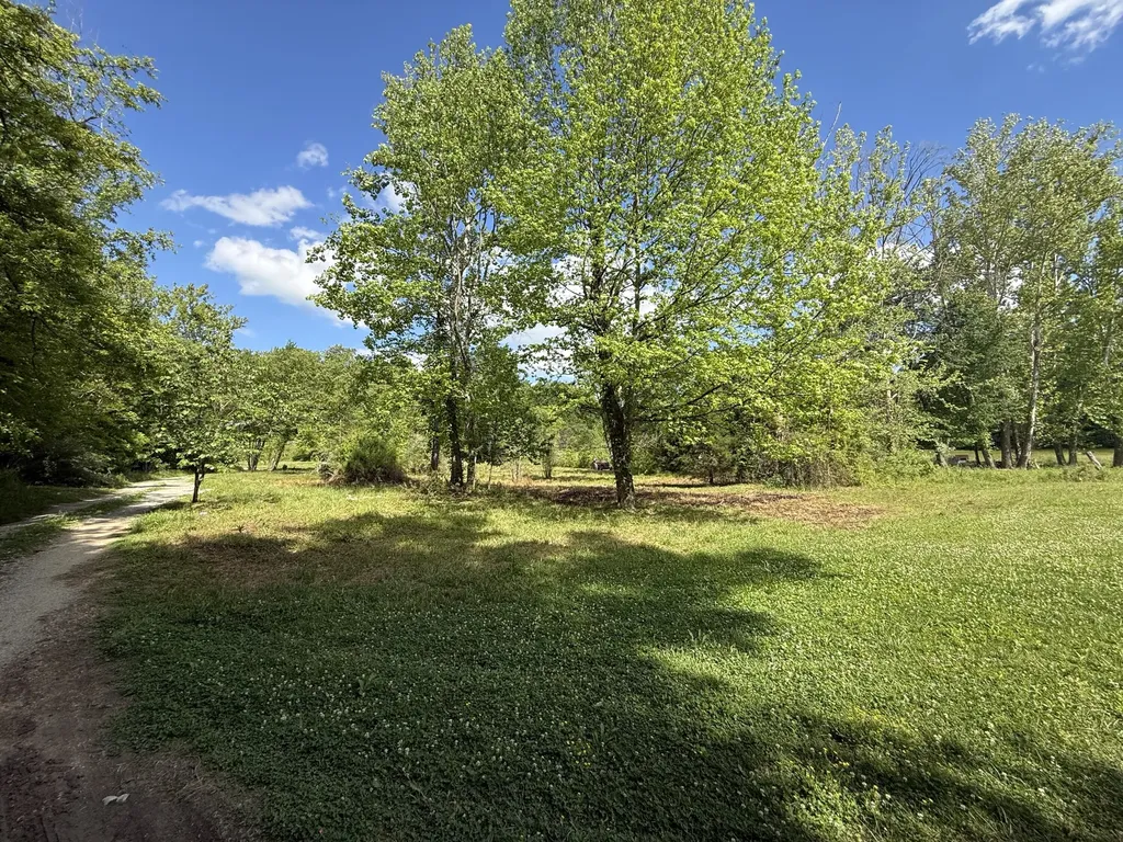 1921 State Highway 1804 Williamsburg KY 40769