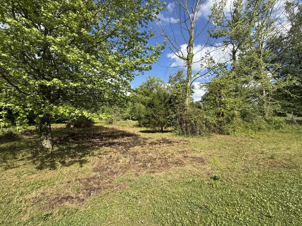 1921 State Highway 1804 Williamsburg KY 40769