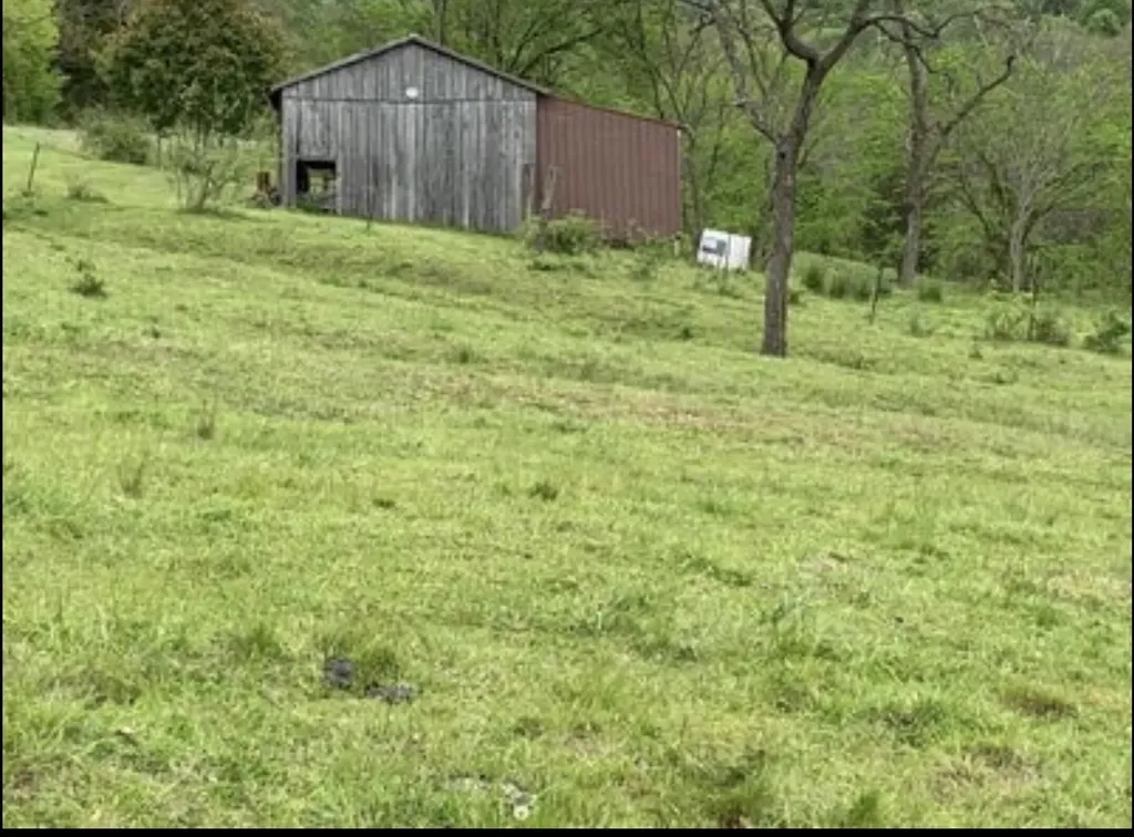 1568 Quicks Run Road Vanceburg KY 41179