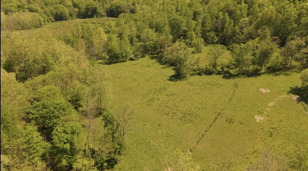 1568 Quicks Run Road Vanceburg KY 41179